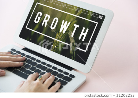 Growth Development Grow Improvement Success 31202252