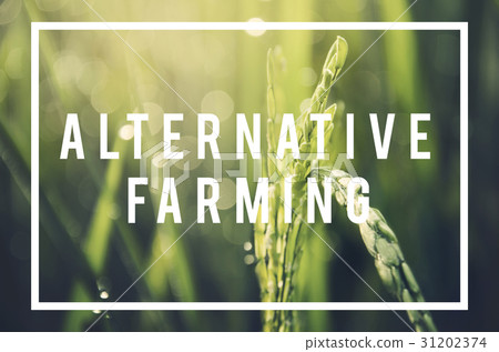 Alternative Farming Sustainable Nature Concept Alternative Farming Sustainable Nature Concept 31202374