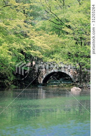 Gurye-gun, Jeonnam 31203264