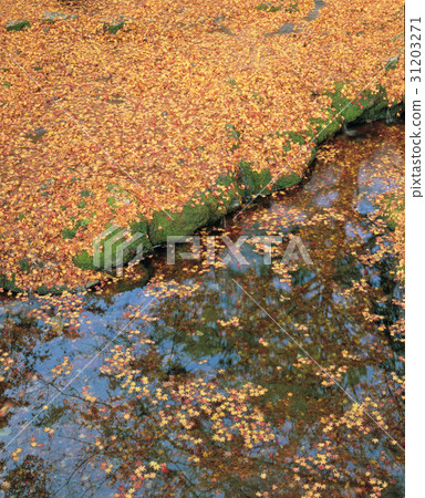 全南昌盛縣 31203271