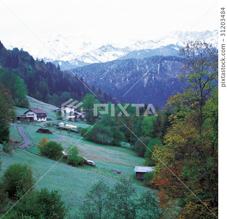 Swiss Swiss 31203484