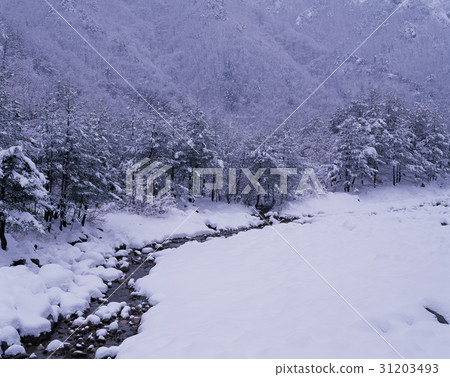 Gangneung, Gangwon-do 31203493