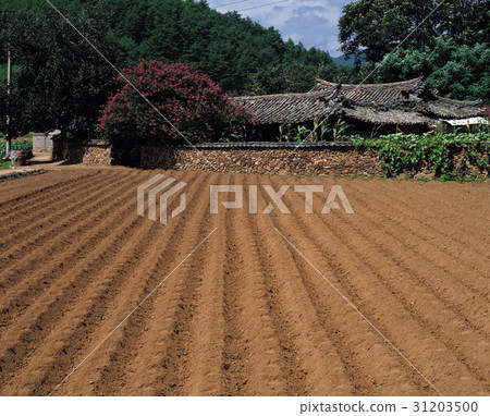 Samcheok, Gangwon-do 31203500