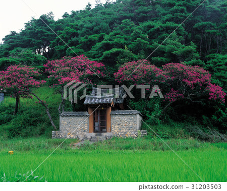 Milyangsi, Gyeongnam 31203503