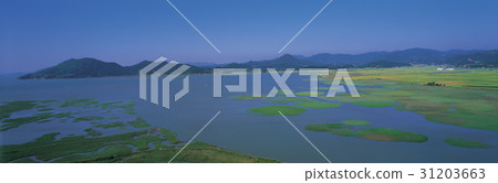 Suncheon Bay, Suncheon City, Jeonnam 31203663