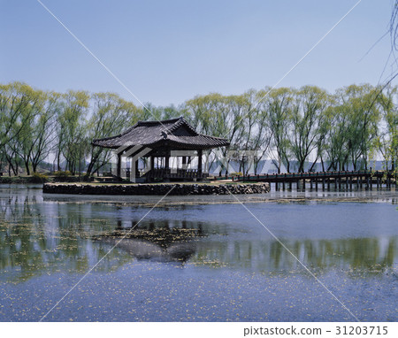 Gangnamji, Buyeo, Chungnam 31203715