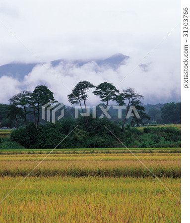 慶南郡咸陽郡 慶南郡咸陽郡 31203766