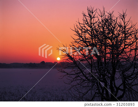 Gimje city, Jeonbuk 31203893