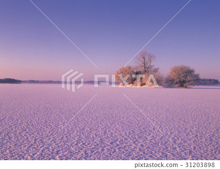 Gimje city, Jeonbuk 31203898