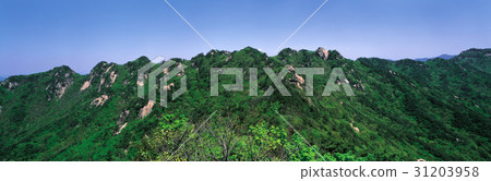 Mt. Sok, Boeun-gun, Chungbuk 31203958