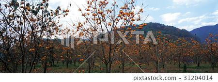 Gan, Sancheong-gun, Gyeongnam 31204014