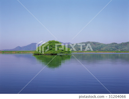 貞山郡忠北郡 31204066