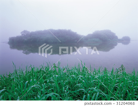 忠武市忠孝市南漢河 31204068