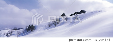 Daegwallyeong, Pyeongchang-gun, Gangwon-do Daegwallyeong, Pyeongchang-gun, Gangwon-do 31204151