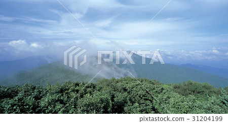 丹麥郡忠北的小白山 31204199