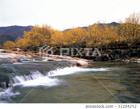 山東石油,山東,求禮郡,全南 山東石油,山東,求禮郡,全南 31204252