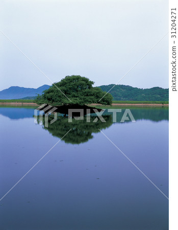 貞山郡忠北郡 貞山郡忠北郡 31204271