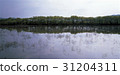 Topong Reservoir, Nonsan City, Chungnam 31204311