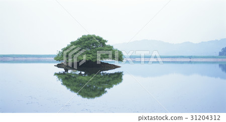 貞山郡忠北郡 貞山郡忠北郡 31204312