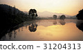 Suwon, Chungbuk 31204313