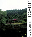 Chee Hwa Jeong, Andong City, Gyeongbuk Province 31204314