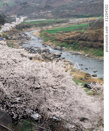 Hadong-gun, Gyeongnam 31204502