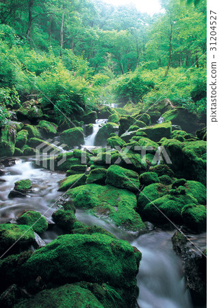 Jindu, Pyeongchang County, Gangwon Province Jindu, Pyeongchang County, Gangwon Province 31204527