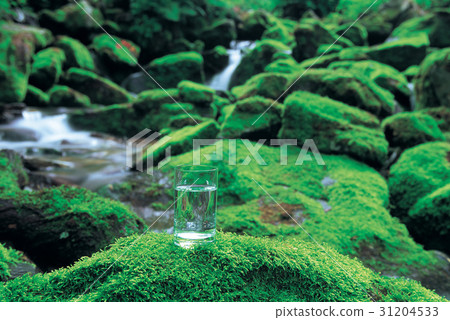 谷 水 水杯 31204533