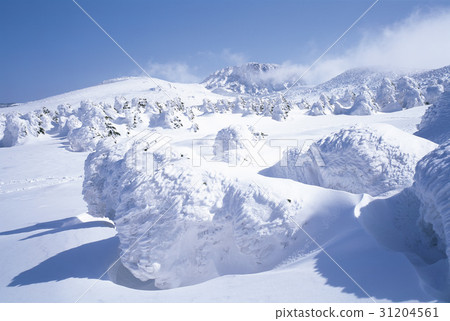 Halla Mountain, Seogwipo City, Jeju Island 31204561