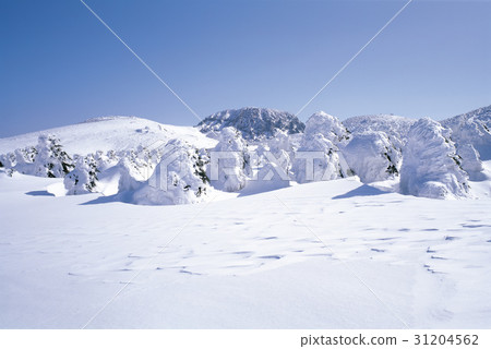 Halla Mountain, Seogwipo City, Jeju Island 31204562
