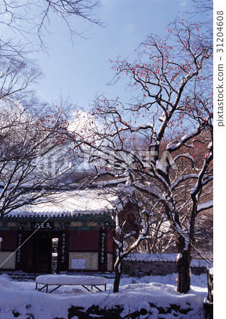 Jae-in company, Jeongeup-si, Jeonbuk 31204608