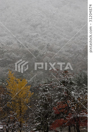 Soraksan，Sokcho，江原道 31204874