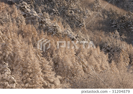 Soraksan,Sokcho,江原道 Soraksan,Sokcho,江原道 31204879