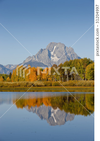 黃石國家公園，懷俄明州，美國 31204997