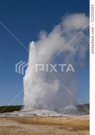 黃石國家公園,懷俄明州,美國 黃石國家公園,懷俄明州,美國 31205004