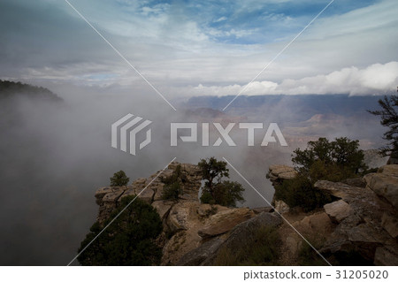 Grand Canyon, Arizona, United States 31205020