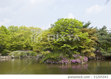 Chunjangji, Changgyeonggung, Jongno-gu, Seoul 31205041