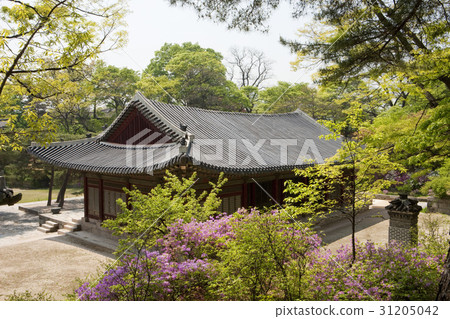 Gyeongmyeongjeon (Treasure 818), Changgyeonggung, Jongno-gu, Seoul Gyeongmyeongjeon (Treasure 818), Changgyeonggung, Jongno-gu, Seoul 31205042