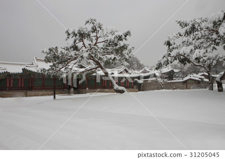 首爾鐘路區昌德宮的黃家當(寶藏815) 首爾鐘路區昌德宮的黃家當(寶藏815) 31205045