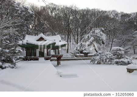 Bu Yong Jeong, Biwon, Changdeok Palace, Jongno-gu, Seoul 31205060