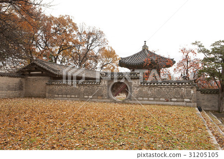 Changdeok Palace, Jongno-gu, Seoul 31205105
