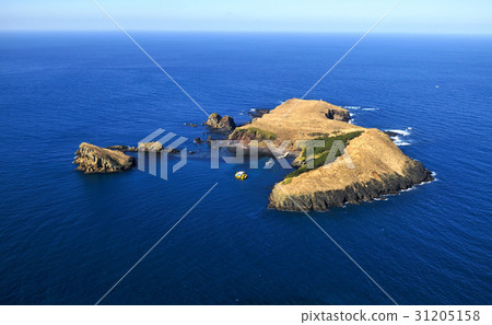 濟州島Chougido 濟州島Chougido 31205158