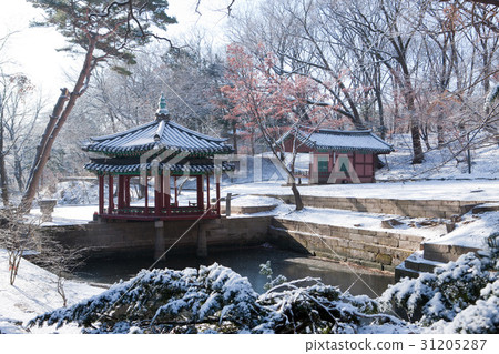 John Deokjeong, Changdeok Palace, Jongno-gu, Seoul 31205287