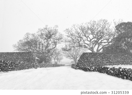 Folk Village, Seongeup, Jeju Island Folk Village, Seongeup, Jeju Island 31205339