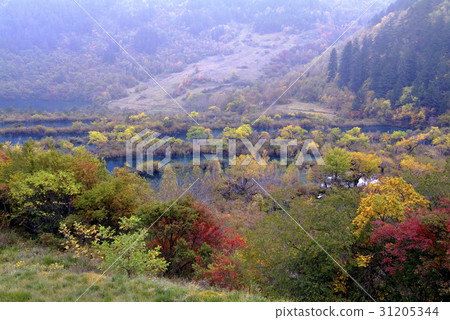 Changhae，Jiuzhaigou，四川，中國 31205344