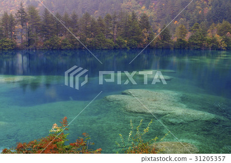 Changhae，Jiuzhaigou，四川，中國 31205357