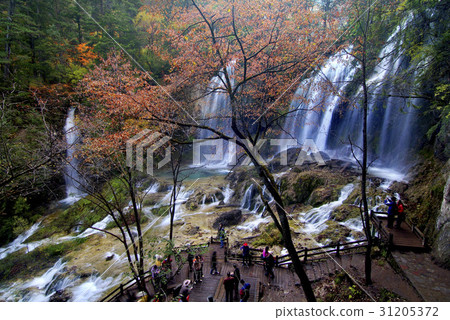 中國四川省九寨溝 31205372