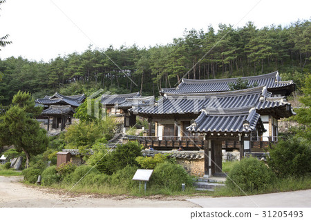 五千個歷史遺跡,安東,慶北 五千個歷史遺跡,安東,慶北 31205493