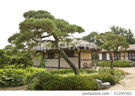 Hahoe Village, Andong City, Gyeongbuk Hahoe Village, Andong City, Gyeongbuk 31205502