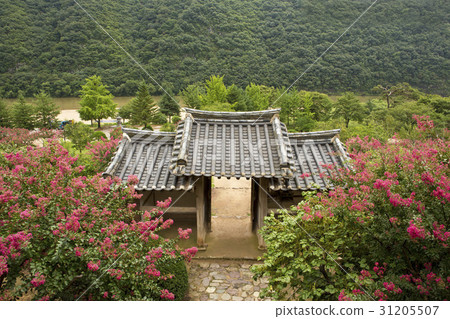 Gyeongbuk安東市Hahoe村 31205507